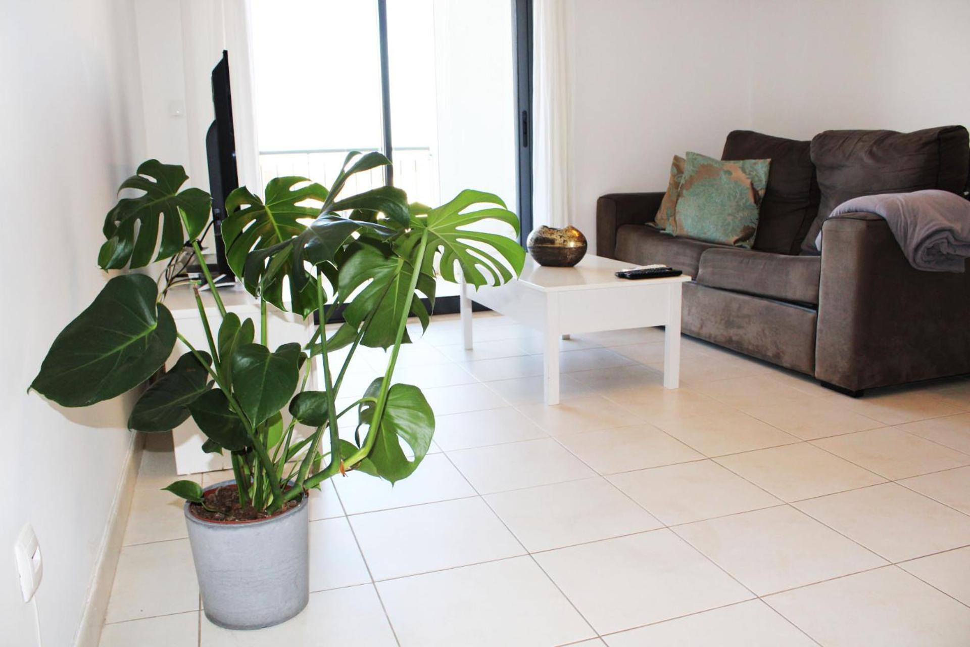 Appartement Neuf à